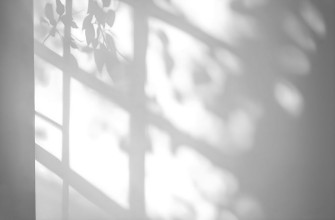 Shadow from the window photowallpaper Wallpassion