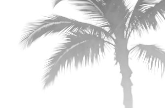 Palm shade photowallpaper Wallpassion
