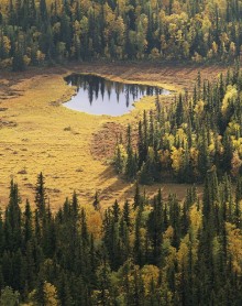 Autumn Landscape with a Small Lake photowallpaper Wallpassion