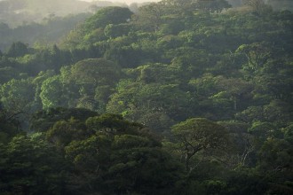View over Monte Verde in Costa Rica photowallpaper Wallpassion