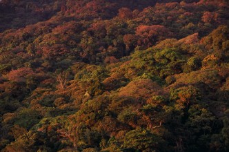 Sunset over Monte Verde in Costa Rica photowallpaper Wallpassion