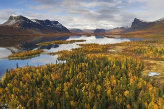 Autumn in Swedish Lapland photowallpaper Wallpassion