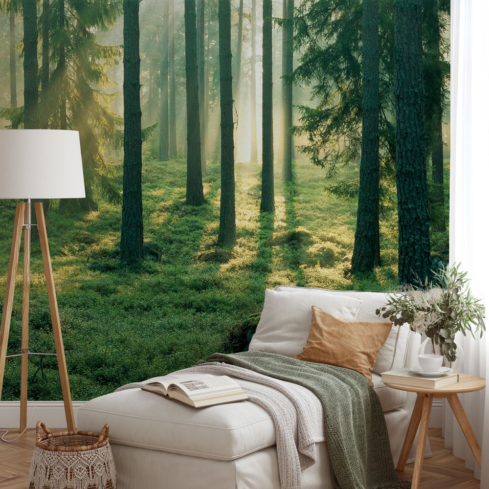 Magic Light in Fir Forest photowallpaper Wallpassion