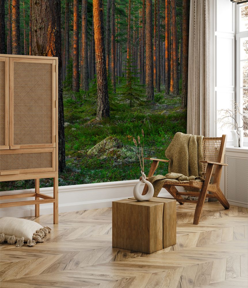 Evening in Magic Swedish Forest photowallpaper Wallpassion