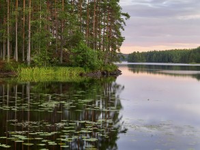 Summer Evening Light on Lake Toften photowallpaper Wallpassion