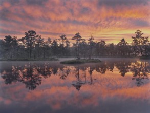 Sunset over Knuthojdsmossen photowallpaper Wallpassion
