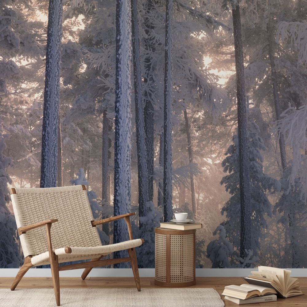 Sunbeams Through a Frosty Coniferous Forest photowallpaper Wallpassion
