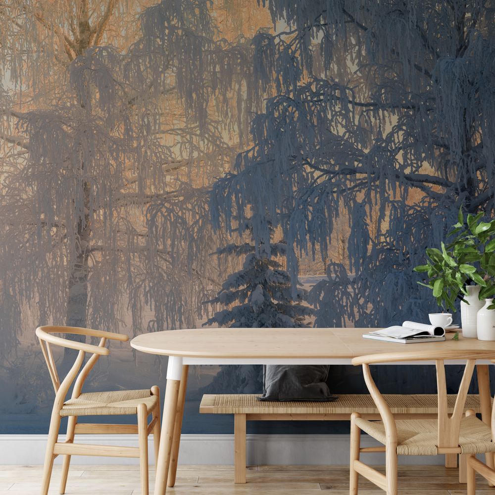Sunbeams Through a Snowy Winter Forest photowallpaper Wallpassion