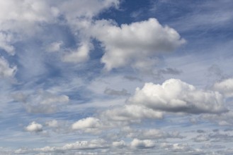 Clouds in the Sky photowallpaper Wallpassion