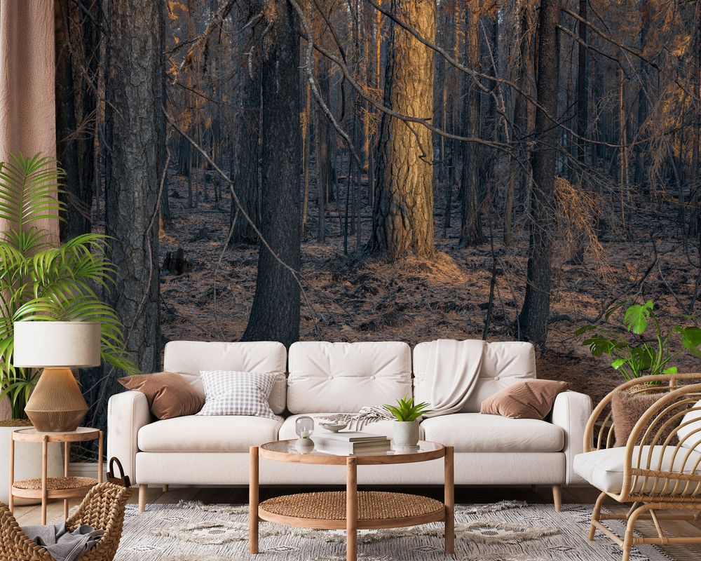 Sunbeams in Brown Coniferous Forest photowallpaper Wallpassion