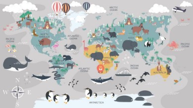 World Map with Cartoon Animals photowallpaper Wallpassion