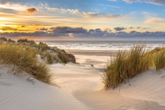 North Sea Dunes in Dusk photowallpaper Wallpassion