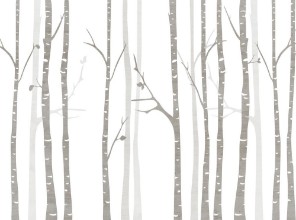 Minimalistic Birch Trees photowallpaper Wallpassion