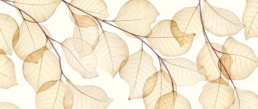 Transparant Leaves on Branch photowallpaper Wallpassion