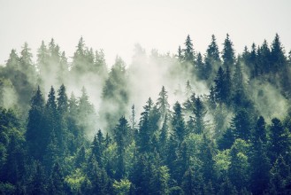 Misty Mountain Landscape in Green photowallpaper Wallpassion