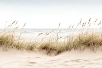Seaside Reeds photowallpaper Wallpassion