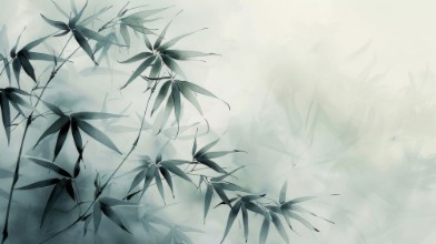 Oriental Style of Bamboo in Grey photowallpaper Wallpassion