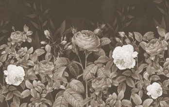 Vintage Illustration with Roses photowallpaper Wallpassion