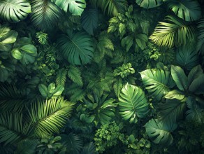 Lush Green Jungle photowallpaper Wallpassion