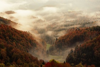 Morning Mist over the Valley photowallpaper Wallpassion
