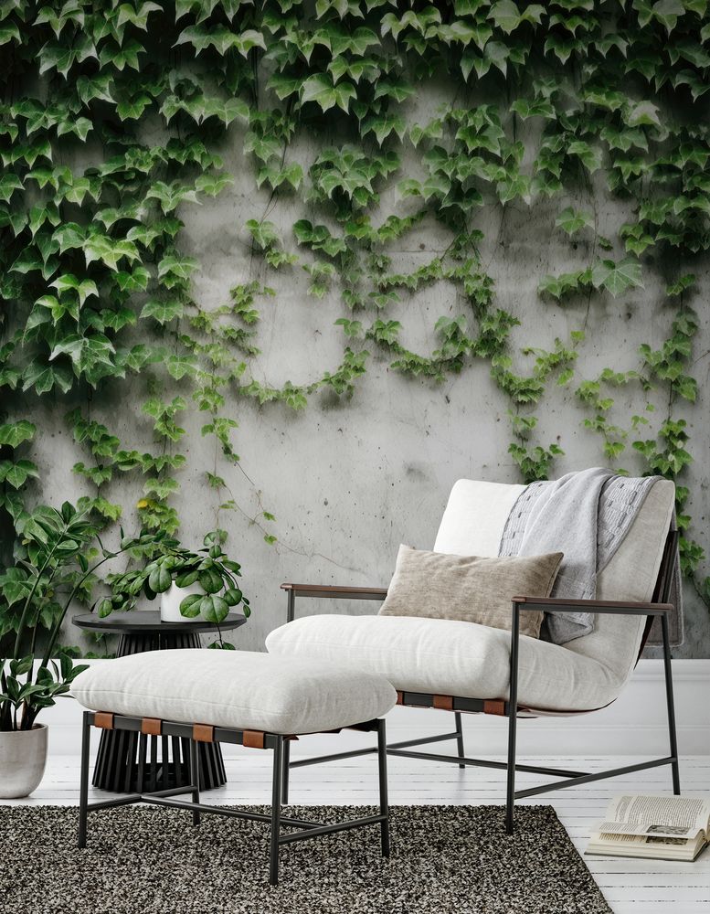 Concrete with Ivy photowallpaper 