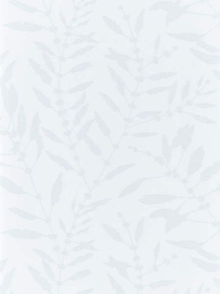 Chaconia Shimmer - HANZ111661 wallpaper 
