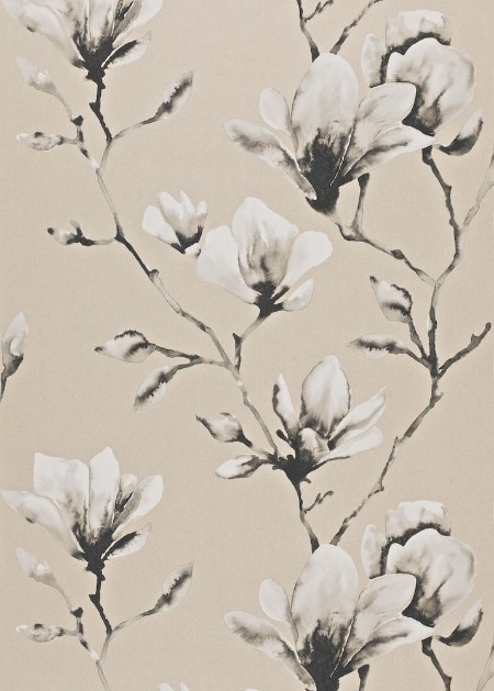 Lotus - HMOW110878 wallpaper 
