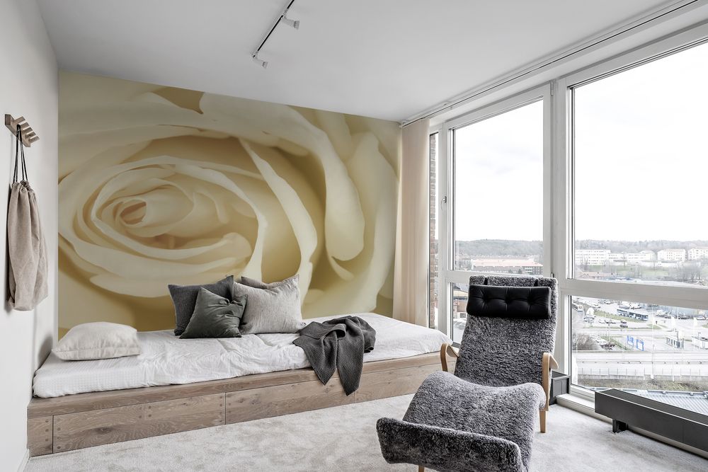 Close up image of cream rose photowallpaper Scandiwall