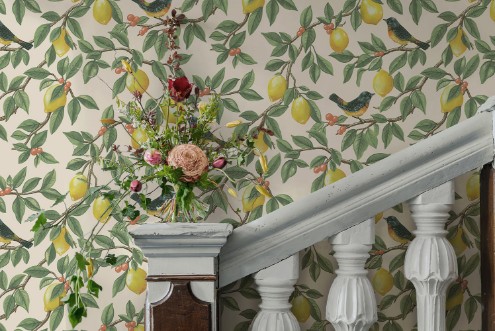 Ponderosa Cream Orange - 91890 wallpaper 