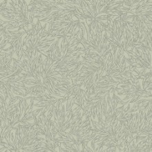 Salix Alba - 7787 wallpaper Boråstapeter