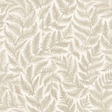 Ferns - 7789 wallpaper Boråstapeter