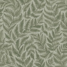 Ferns - 7792 wallpaper Boråstapeter