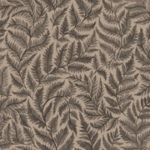 Ferns - 7793 wallpaper Boråstapeter
