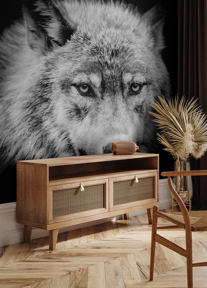 Eyes of the wolf A black and white head shot of a wolf  photowallpaper Scandiwall