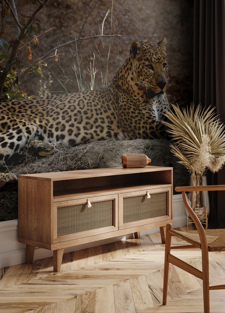 The leopard is one of the five extant species in the genus Panthera is a member of the Felidae Compared to other wild cats the leopard has relatively short legs and a long body with a large head I photowallpaper Scandiwall