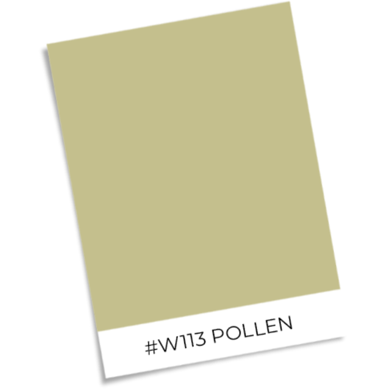 Bild på Färgsättning Herbarium Palm - HE27261