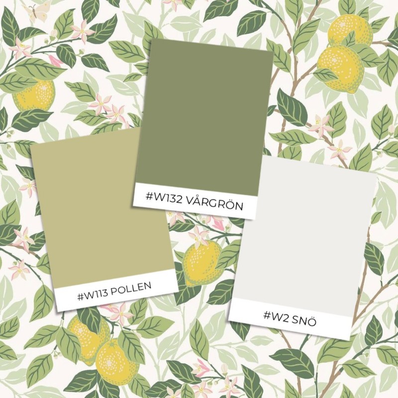 Kép Citronträd - 5702