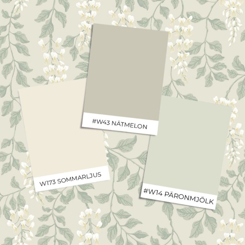 Bild von Blåregn - 5708