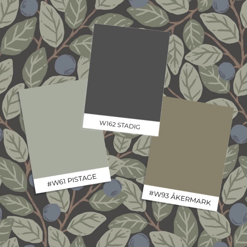 Bild på Blåbärstor - 26016