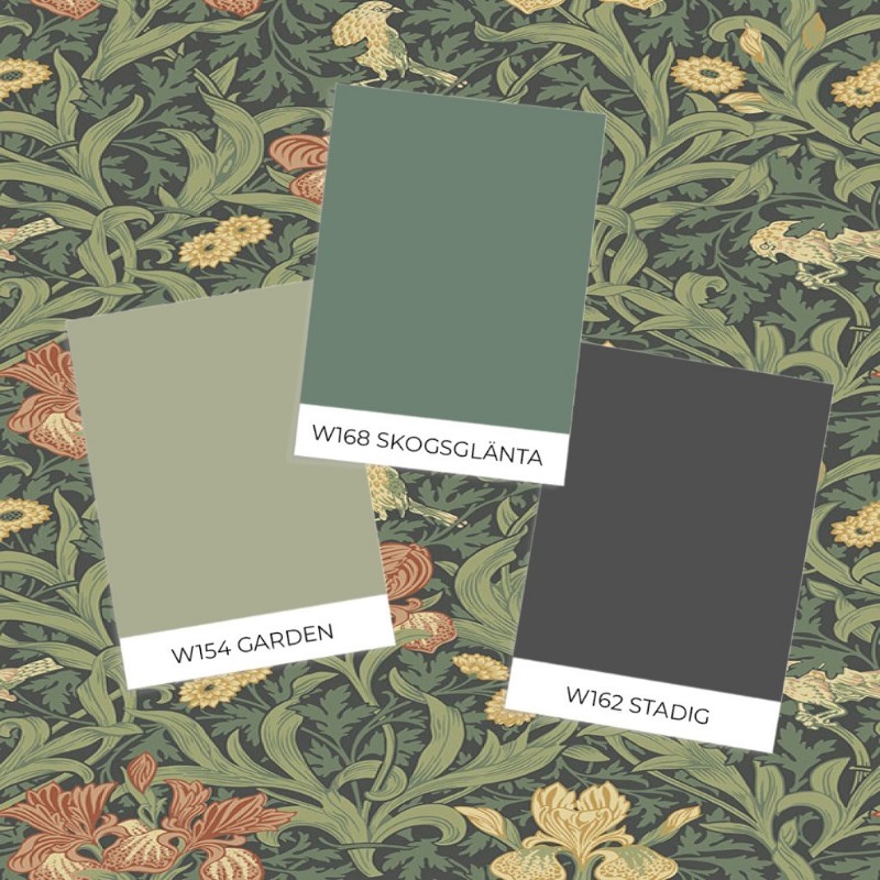 Bild på Iris - 82051