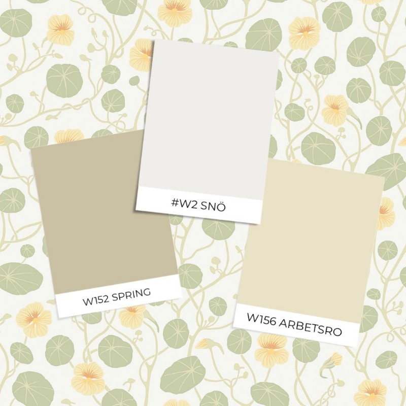 Bild på Krasse - 6975