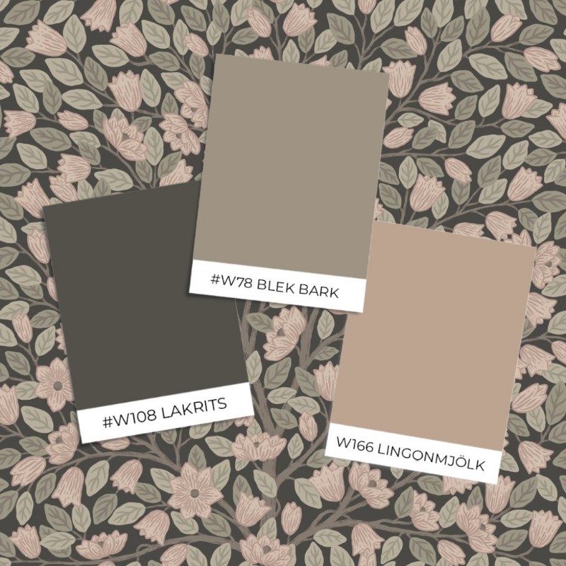 Obrázok z Farba Magnolia - 26009 - 05071-01