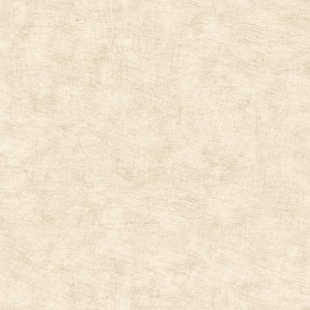 Bild på Färgsättning Pampas Plain - HE27203