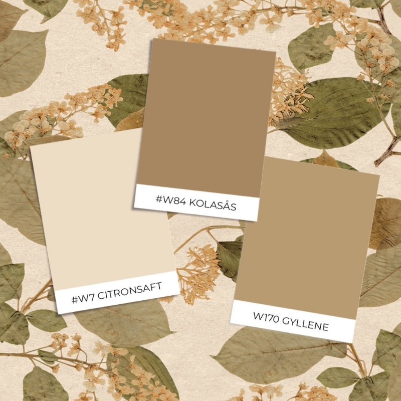 Bild på Varuprov stil - Castanum - HE27231