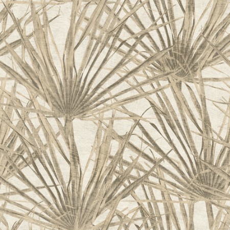 Bild på Färgsättning Herbarium Palm - HE27260