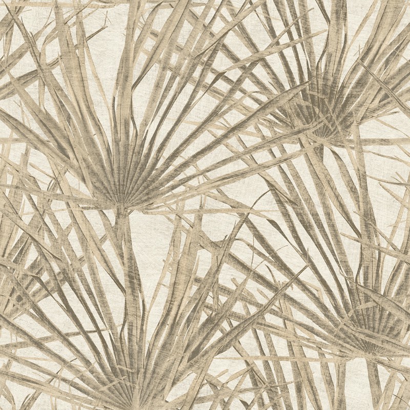 Bild på Färgsättning Herbarium Palm - HE27260