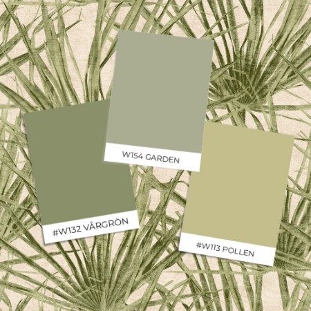 Bild på Färgsättning Herbarium Palm - HE27262