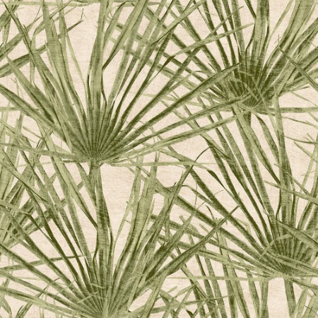 Bild på Färgsättning Herbarium Palm - HE27262