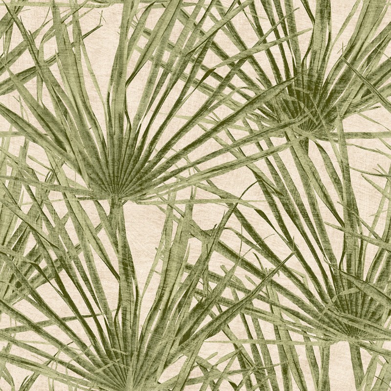 Bild på Färgsättning Herbarium Palm - HE27262