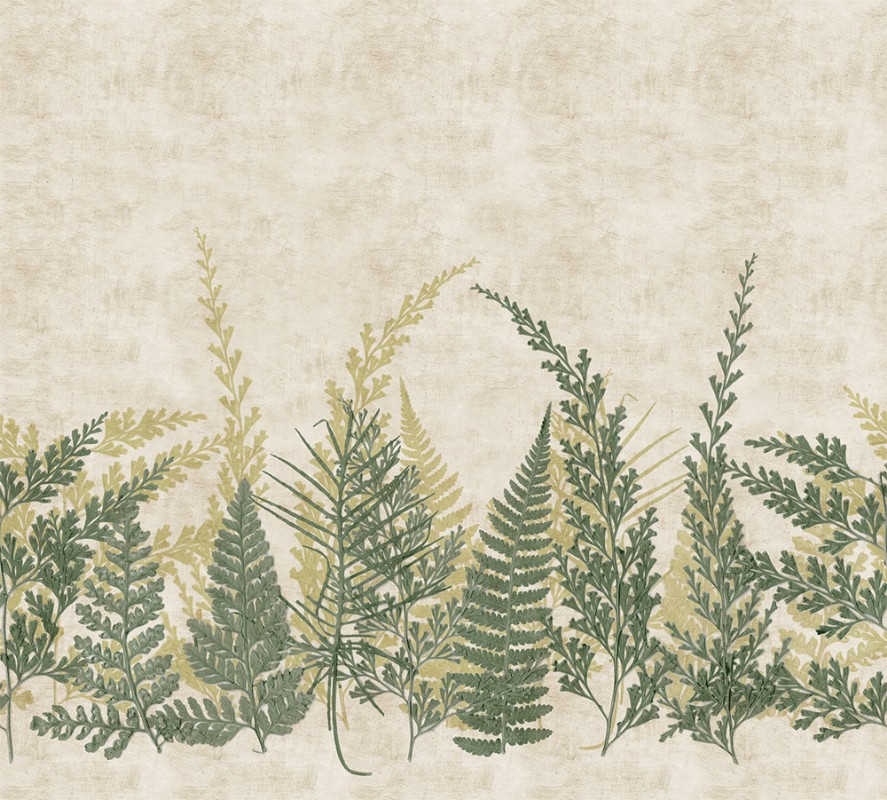 Bild på Färgsättning Fern - HED27293